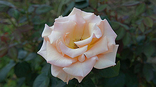 dsc00248_thumb.jpg
