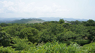 dsc00252_thumb.jpg
