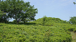 dsc00256_thumb.jpg