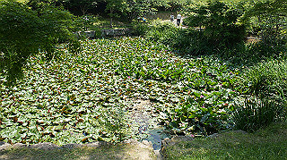 dsc00257_thumb.jpg