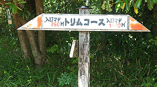 dsc00259_thumb.jpg