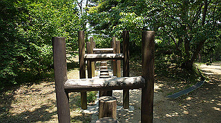 dsc00263_thumb.jpg