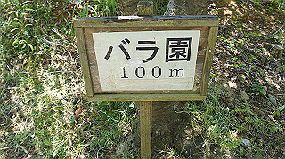 dsc00264_thumb.jpg