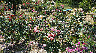 dsc00269_thumb.jpg