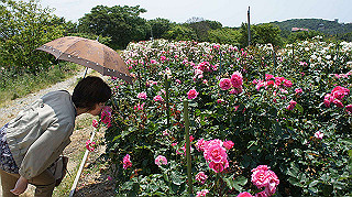 dsc00281_thumb.jpg