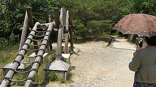 dsc00301_thumb.jpg