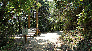 dsc00304_thumb.jpg
