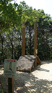 dsc00305_thumb.jpg