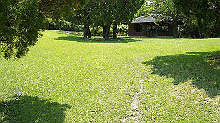 dsc00308_thumb.jpg