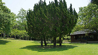 dsc00310_thumb.jpg