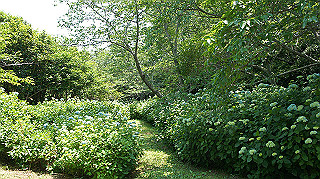 dsc00314_thumb.jpg