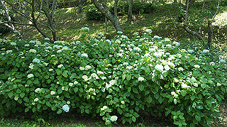 dsc00315_thumb.jpg