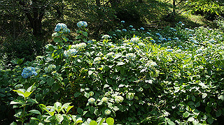 dsc00316_thumb.jpg