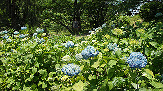 dsc00318_thumb.jpg