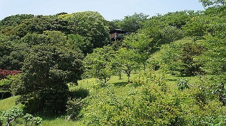 dsc00319_thumb.jpg