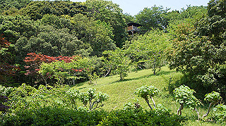 dsc00320_thumb.jpg