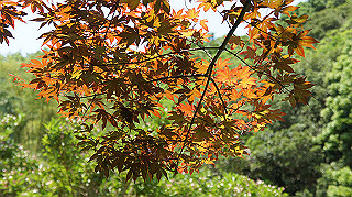 dsc00322_thumb.jpg