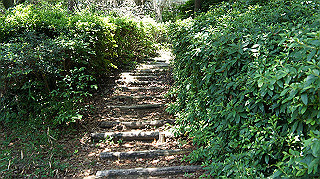 dsc00327_thumb.jpg