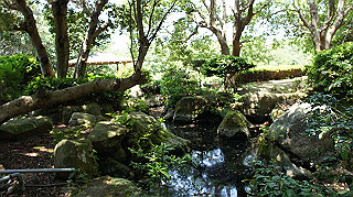 dsc00329_thumb.jpg