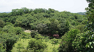 dsc00331_thumb.jpg