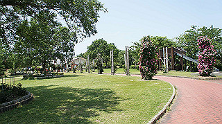 dsc00332_thumb.jpg