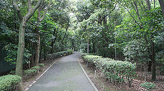 dsc00358_thumb.jpg