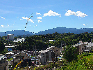 dsc_0196_thumb.jpg