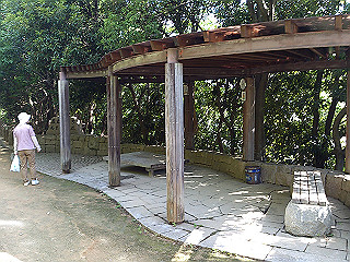 dsc_0197_thumb.jpg
