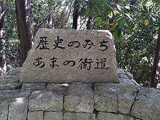 dsc_0199_thumb.jpg