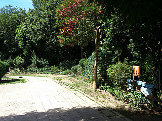 dsc_0201_thumb.jpg