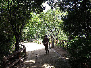 dsc_0202_thumb.jpg