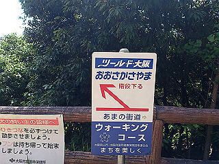 dsc_0203_thumb.jpg