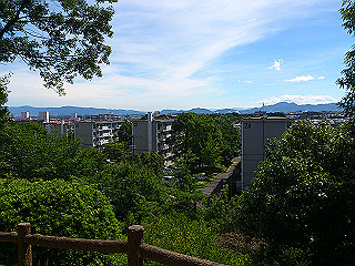 dsc_0204_thumb.jpg