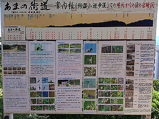 dsc_0206_thumb.jpg