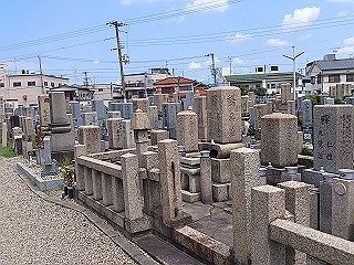 dsc_0262_thumb.jpg