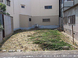 dsc_0268_thumb.jpg