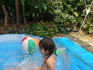 dsc_0272_thumb.jpg