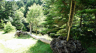 dsc00021_thumb.jpg