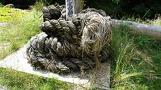dsc00023_thumb.jpg