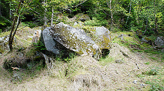 dsc00031_thumb.jpg