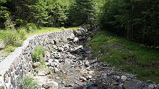 dsc00038_thumb.jpg