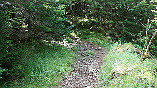 dsc00041_thumb.jpg