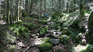dsc00042_thumb.jpg