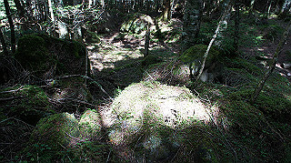 dsc00043_thumb.jpg