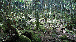 dsc00045_thumb.jpg