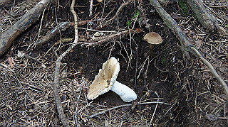 dsc00048_thumb.jpg