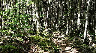 dsc00058_thumb.jpg