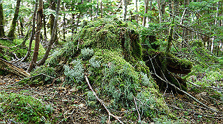 dsc00059_thumb.jpg