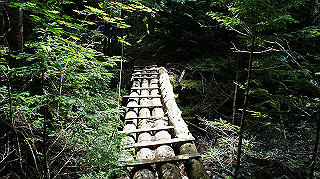 dsc00061_thumb.jpg