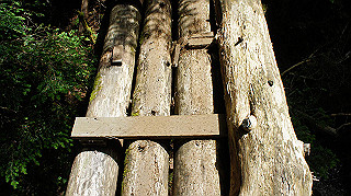 dsc00062_thumb.jpg